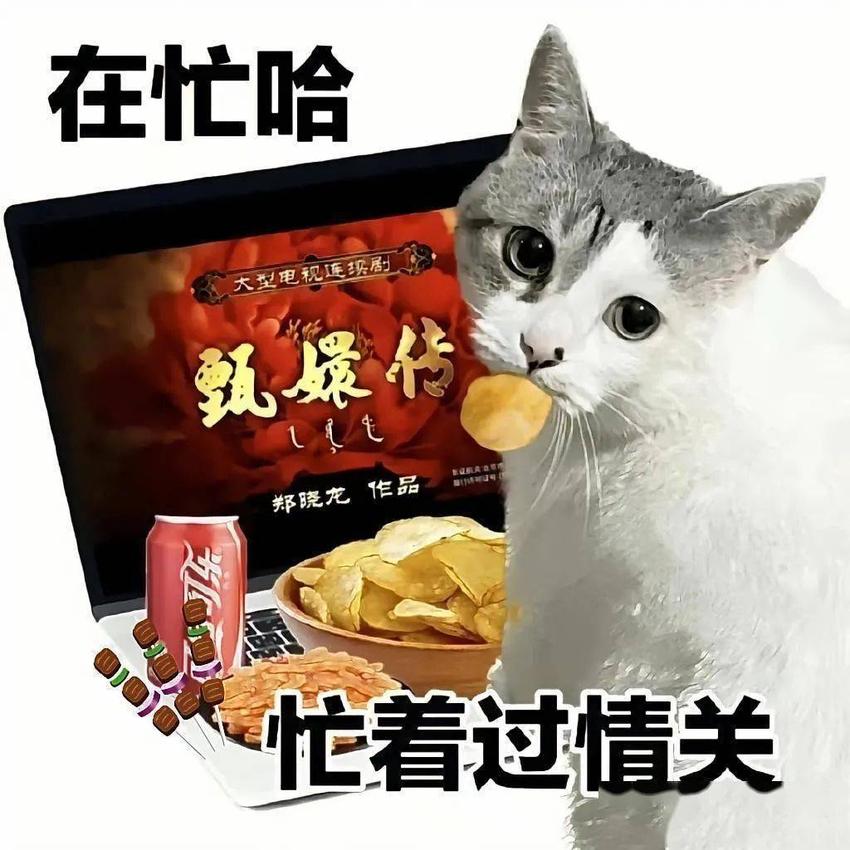 E句话看天下 ｜橄榄菜还能吃吗？