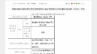 因虚构保险中介业务套取费用等，泰山财险宁波分公司被罚款40万元