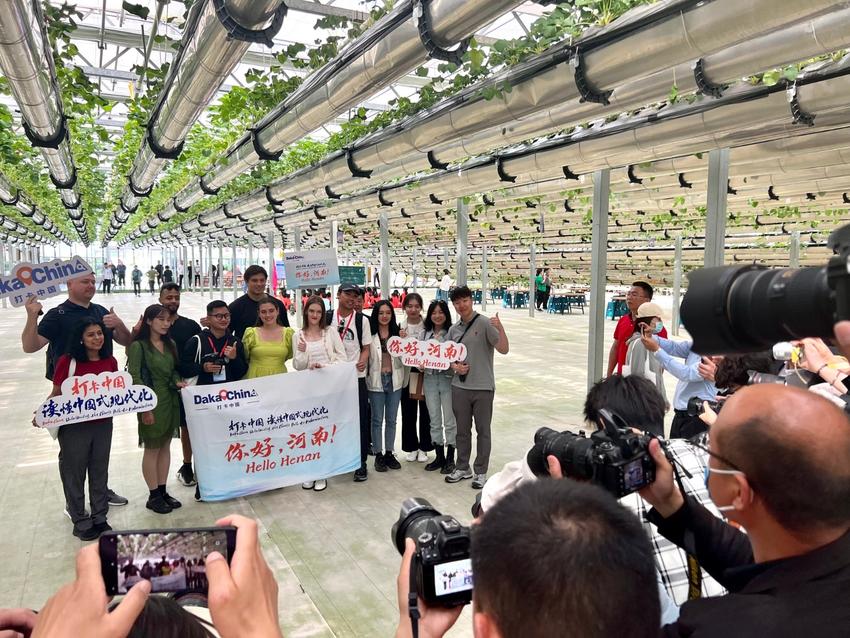 在河南夏邑县太平镇龙港湾空中草莓体验馆