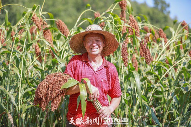 视觉茅台丨处暑：暑气渐消秋意浓 沽酒一杯话秋凉