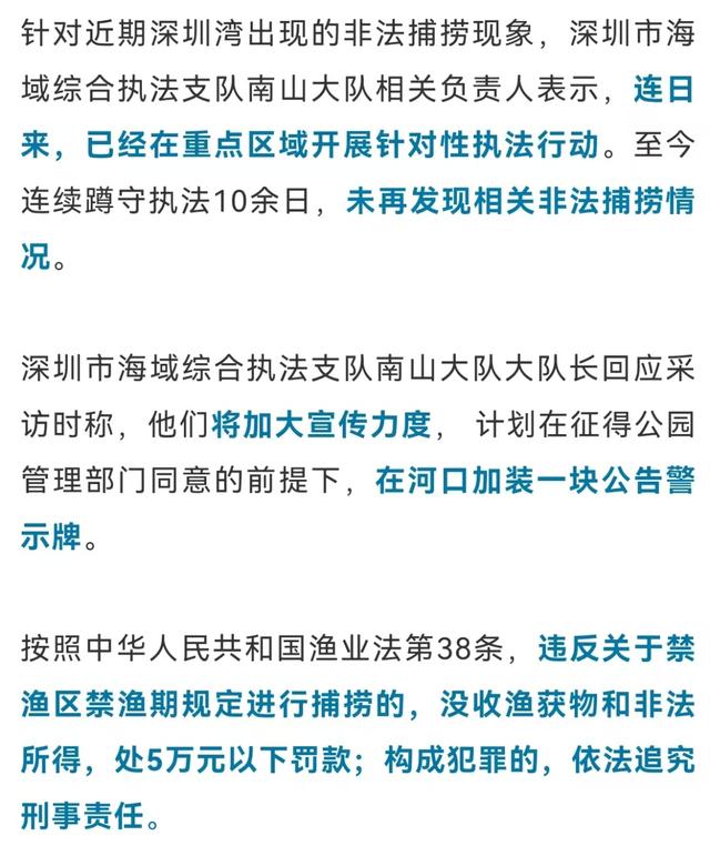 深圳湾生态环境恢复来之不易针对非法捕捞现象