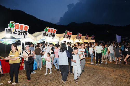 音乐+露营 潮夏纳凉 安徽省安庆岳西以文塑旅踏歌而行