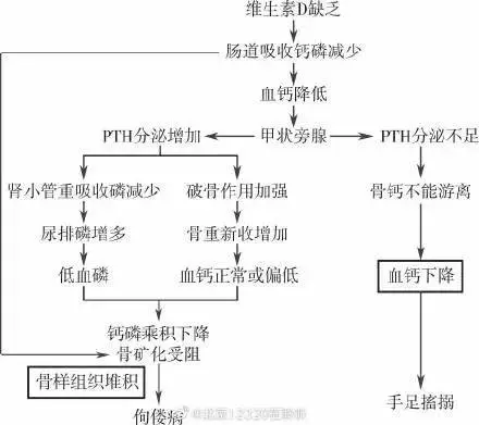 维生素D几岁就不用再补了？漏吃怎么补？餐前还是餐后吃？很多人都做错了