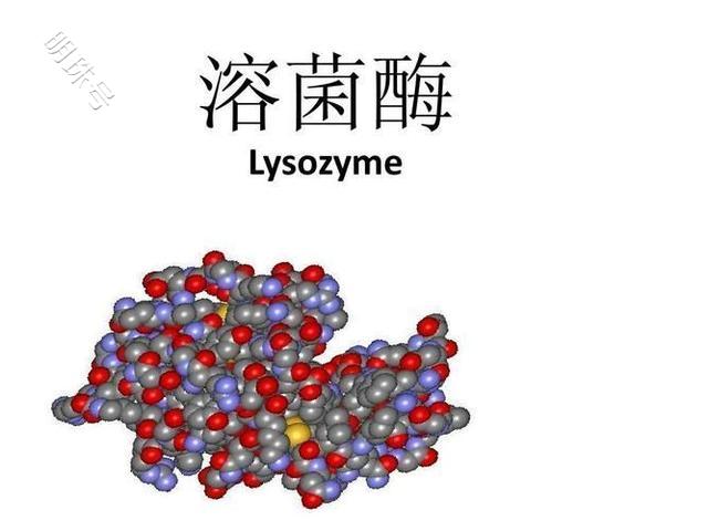 多亏了溶菌酶，婴幼儿食品有了更放心的选择