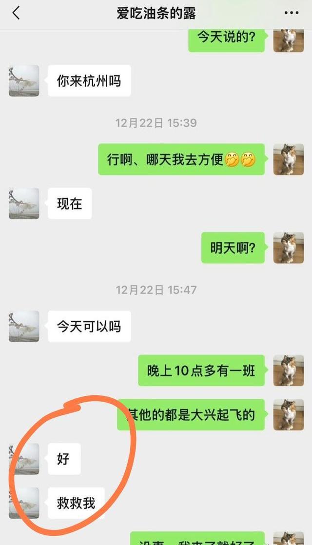 真有隐情！演员朱锐力挺赵露思，曝聊天记录