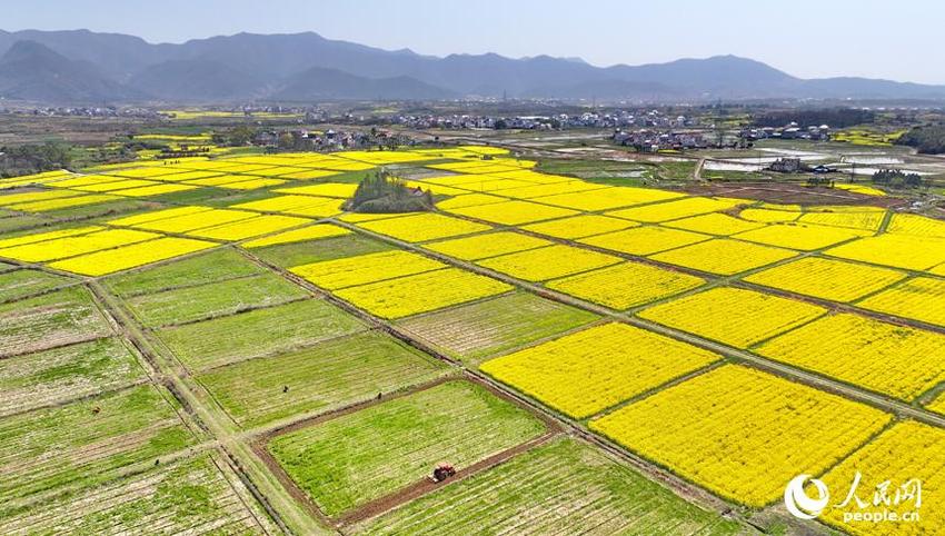 江西湖口：翻耕高标准农田助力粮食生产