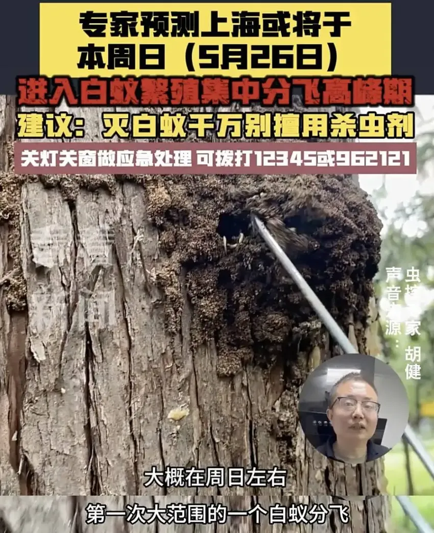 做好防范！专家提醒：本周末或大范围爆发！