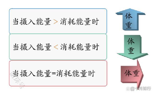 减脂，如何减掉腹部顽固脂肪？学习下