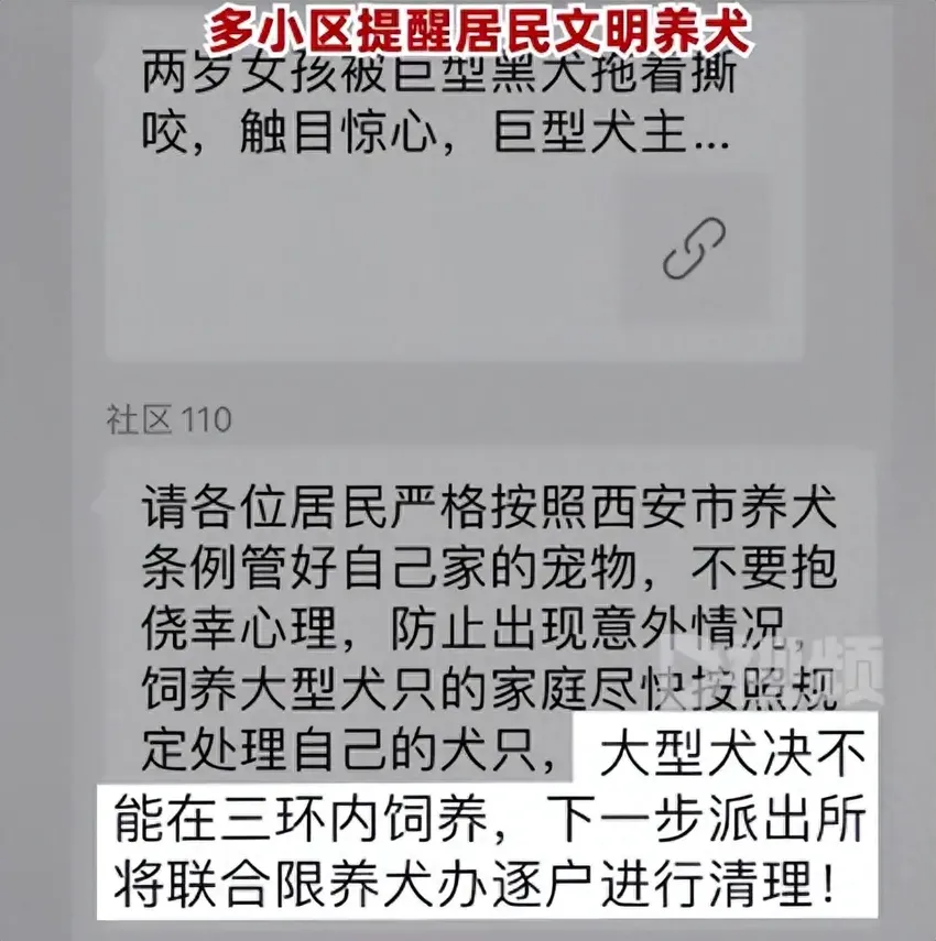 西安一小区将逐户清理禁养犬，中华田园犬阿拉斯加等在列，社区：决不能在三环内饲养