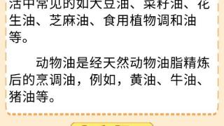 你的饮食少油了吗？科学用油6问6答