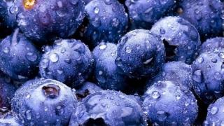 每天都吃一盒蓝莓，身体会发生什么？科普小知识