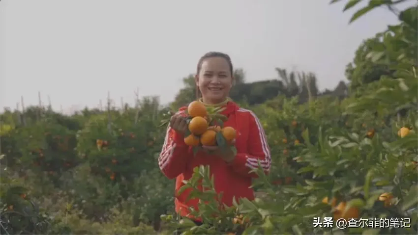 她是40岁广西妇女，从月薪3000到年入千万，开公司还上央视，为啥