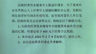 广东一村庄每桩婚事奖励红娘600元，官方：村里有240名男青年待脱单