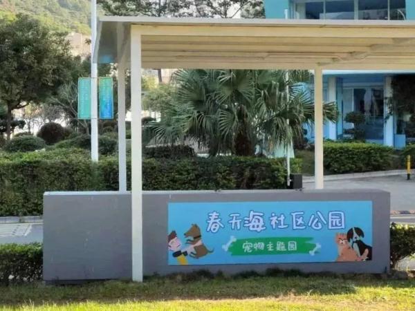 深圳25种禁养活动犬，被咬伤如何维权