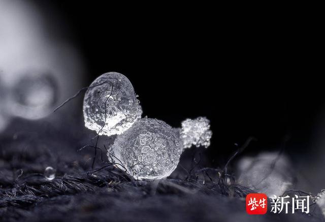 探秘微观世界下的雪花究竟长啥样