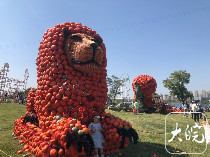 城市记忆馆、南瓜艺术展……国庆假期合肥端出“文旅大餐”