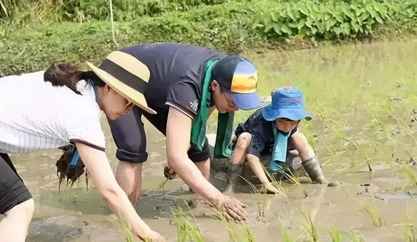 霍启刚父亲谈儿媳郭晶晶：温柔是给外人看的，在家一点面子不给我