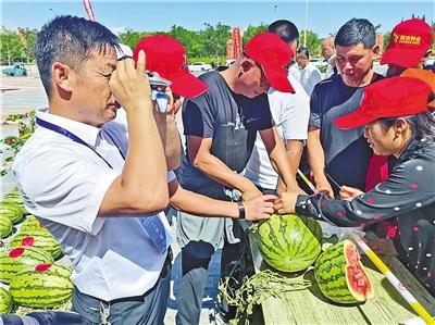 丰收节“牵手”那达慕