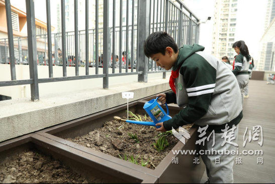 长春街二小“百草园”来了一位“药博士”