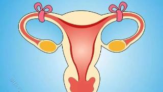 输卵管复通是否安全？哪些人不适合做输卵管复通？