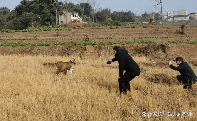 丈夫长期在外，我却没有抵抗住背叛的诱惑：婚姻与欲望的挣扎！