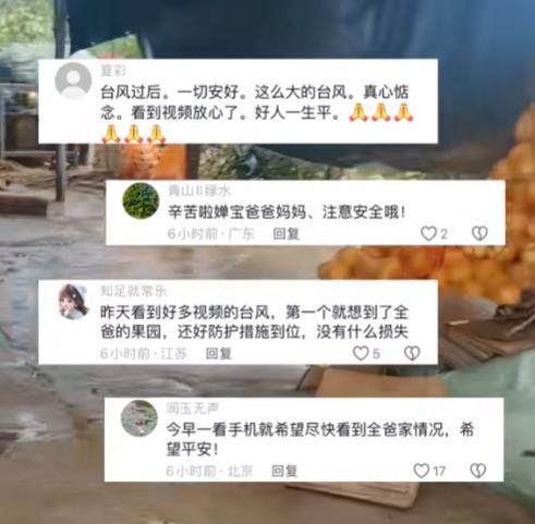 全红婵家被台风摧毁严重，婵爸婵妈情绪低落，爷爷在院里捡树枝