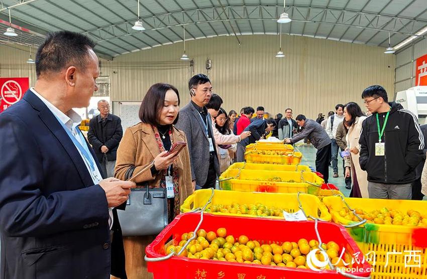 柳州市第七届文化旅游产业发展大会在融安县召开