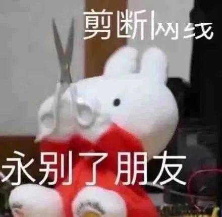 E句话 ｜ 哈佛硕士应聘事业单位合同工，卷成这样了吗？