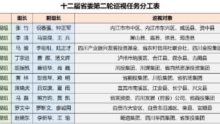 十二届四川省委第二轮巡视对象公布