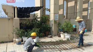 业主圈占楼顶种植绿植，鹦鹉街道路长拆除违建还公共空间