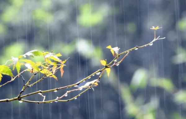 近期雨水集中，贵州多地有中到大雨