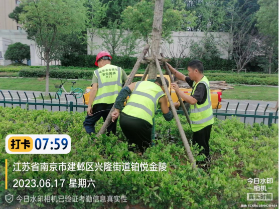 城管水务集团：全力以赴做暴雨下的护航人