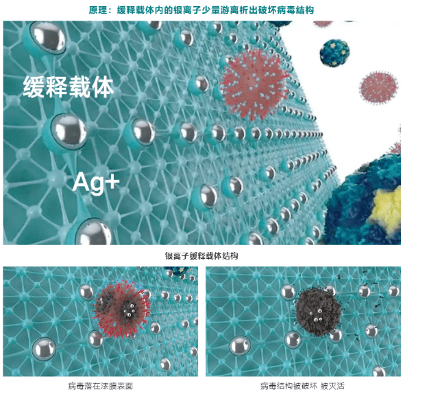 立邦多款产品获得CIAA抗菌标志使用资格，刷新涂料行业抗菌性能标准