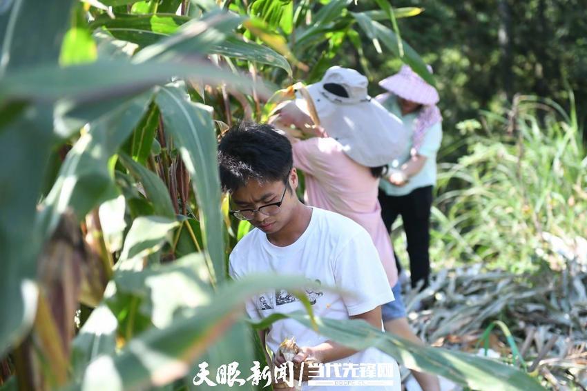 志愿助学传帮带！贵州龙里县一个苗族家庭走出6个大学生