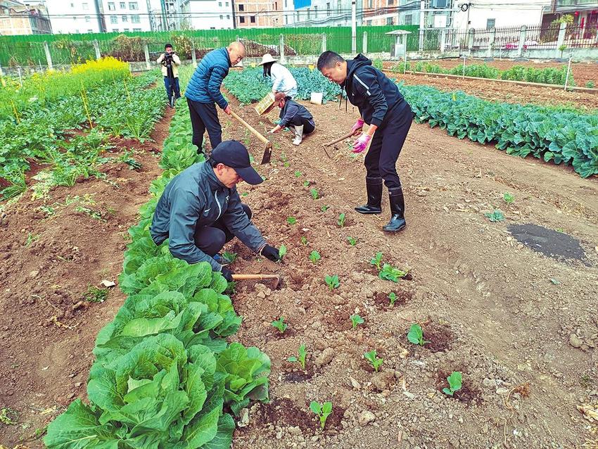 农科人员进基地