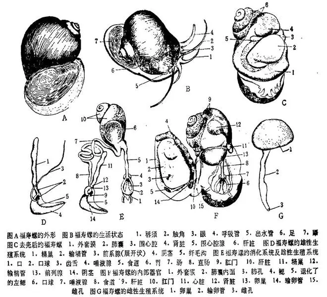 一只就有寄生虫3000～6000条，有商家称年销几百吨！官方通报：已查封！紧急提醒，千万别乱吃