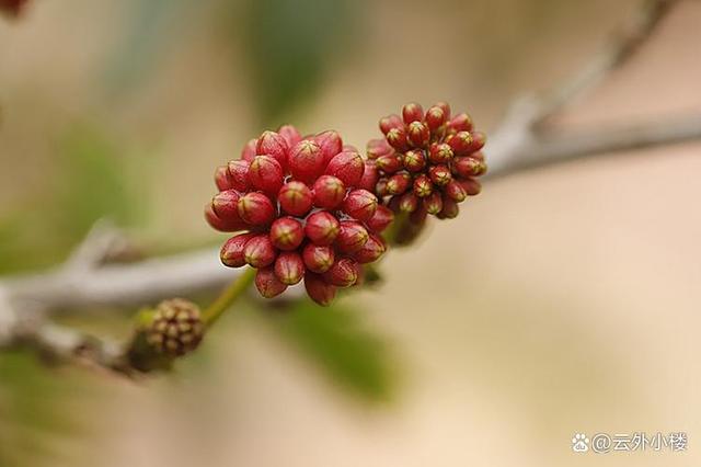 大爷：愿意每月给再找老伴4500，但她要漂亮，她：谢邀，再见