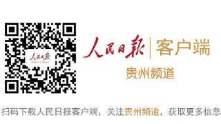 贵阳市已试点开展“无犯罪记录证明”全程网办