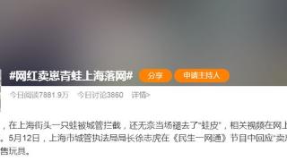 “卖崽青蛙”火遍全网，却在上海被抓！城管局长：擅自兜售物品！