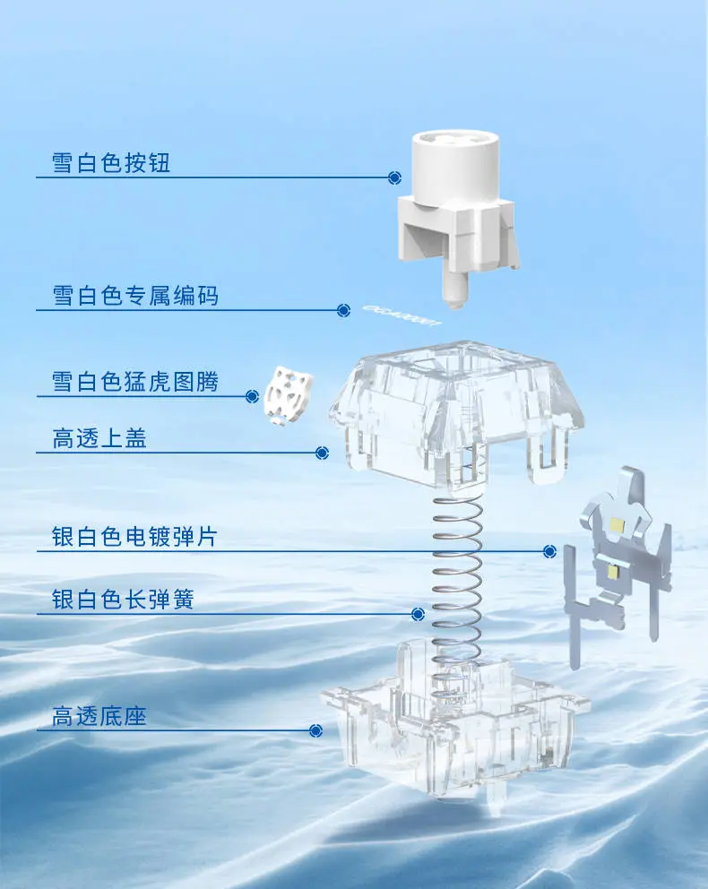 温柔力 强回弹 更透亮——TTC发布 雪虎轴