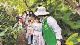 自然教育焕发国有林场新活力