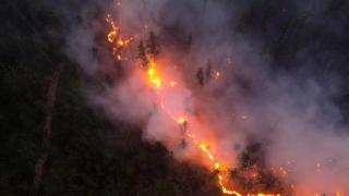 加拿大被林火覆盖的面积10天内增加100万公顷 达1730万