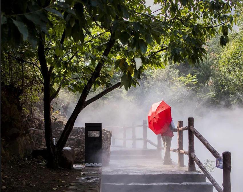 唐山山叶口景区发现植物界的“黑钻石” 为东方甄选河北行添彩