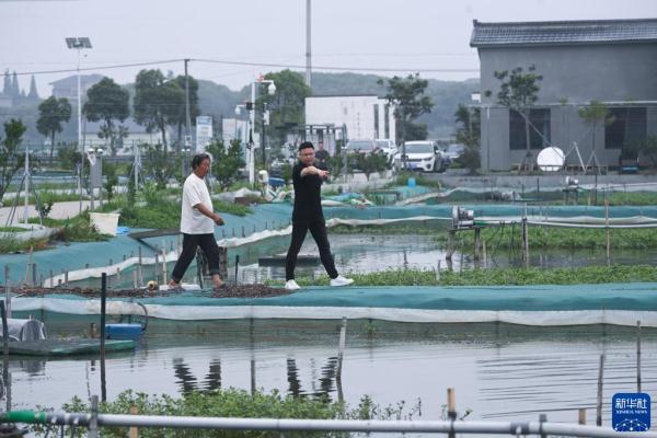 湖州：海外归国人才回乡创业带动百姓共富