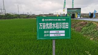 三亚：分类管理分时使用南繁基地 打造智慧农业应用新场景