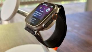 苹果在watchos11系统中移除siri表盘