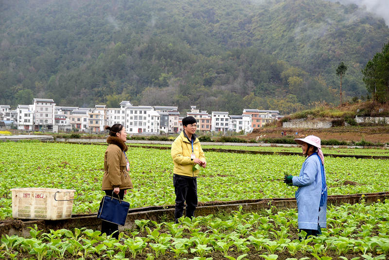 广西东兰：清廉建设为乡村振兴注入“清廉因子”