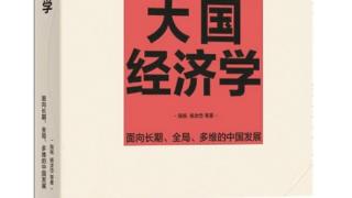 《大国经济学：面向长期、 全局、多维的中国发展》