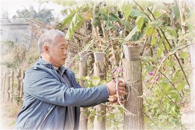 沈家相：带领乡亲走上致富“快车道”（追梦路上）