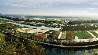 改制成立15周年跨越式发展，万亿重庆农商行加速转型“数字农商行”